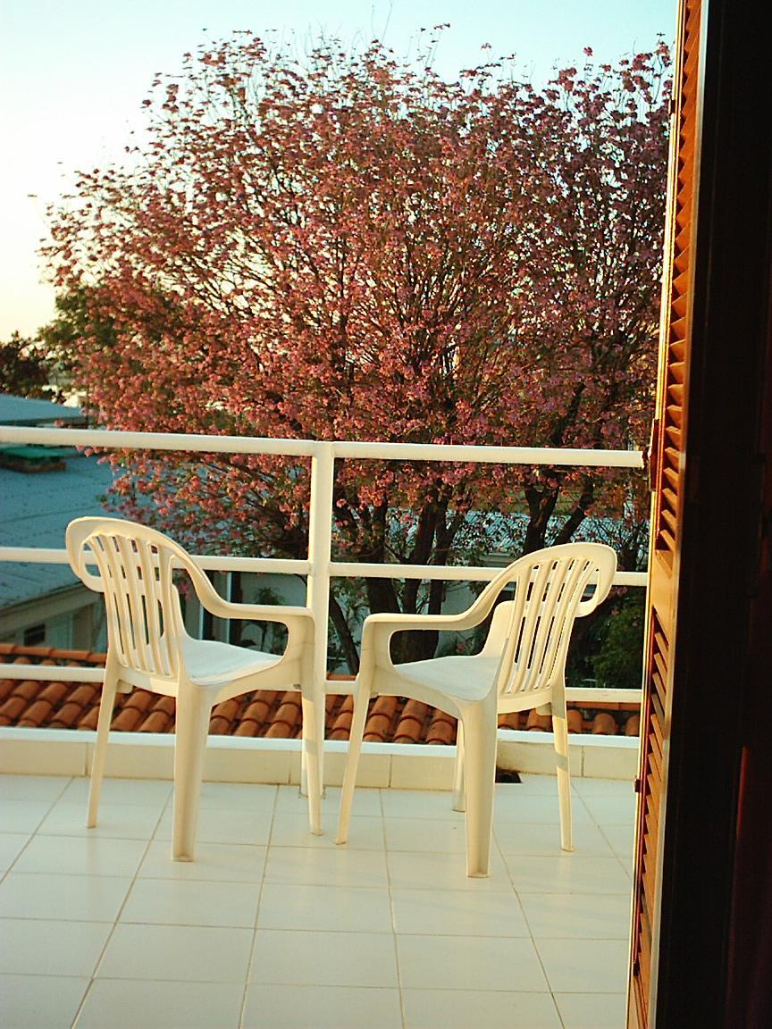 Hotel Palmas Del Sol Asuncion Dış mekan fotoğraf